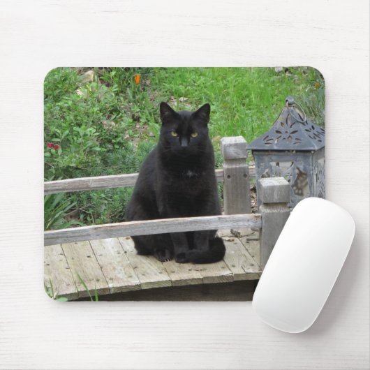Black Cat on Bridge Mousepad (Mit Mouse)