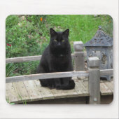 Black Cat on Bridge Mousepad (Vorne)