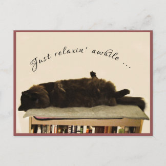 Black Cat on Vacation Postkarte