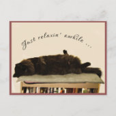 Black Cat on Vacation Postkarte (Vorderseite)