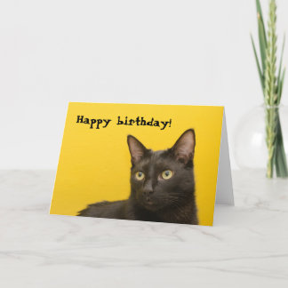 Black Cat on Yellow Birthday Karte
