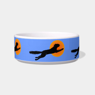 Black Cat Orange Moon Cat Disc Napf