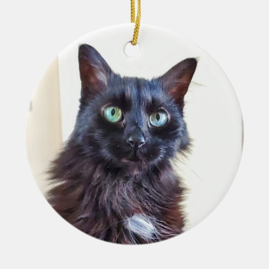 Black Cat Ornament (Vorne)