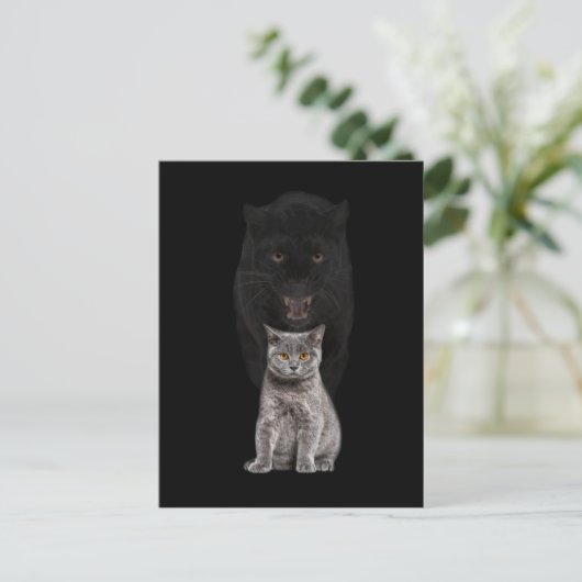 Black Cat Panther Niedliche Evolution Postkarte (Stehend Vorderseite)