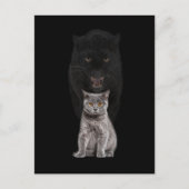 Black Cat Panther Niedliche Evolution Postkarte (Vorderseite)