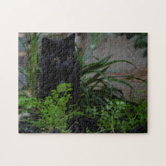 Black Cat Playing im Garten, 252 Stück Puzzle