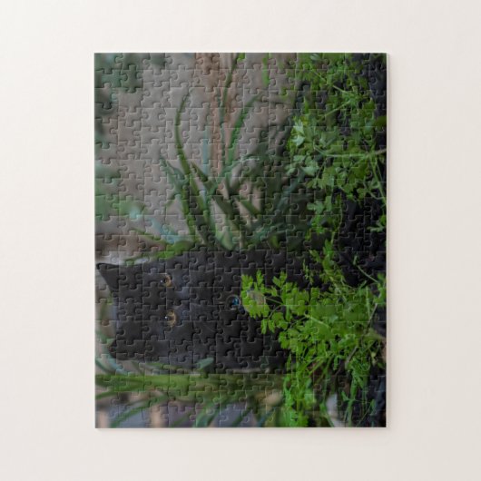 Black Cat Playing im Garten, 252 Stück Puzzle (Vertikal)