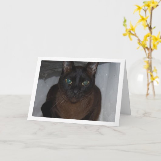 Black Cat Portrait Karte (Gelbe Blume)