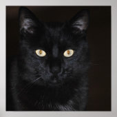 Black Cat Portrait Poster (Vorne)