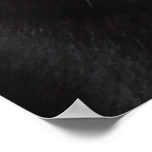 Black Cat Portrait Poster (Ecke)