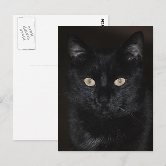 Black Cat Portrait Postkarte (Vorne/Hinten)