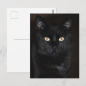 Black Cat Portrait Postkarte (Vorne/Hinten)