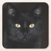 Black Cat Portrait Rechteckiger Pappuntersetzer (Vorderseite)