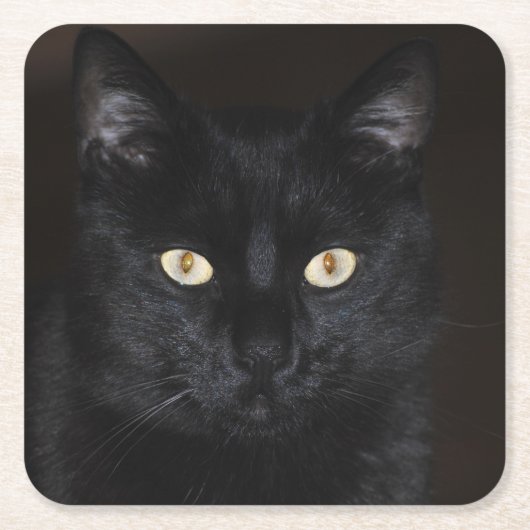 Black Cat Portrait Rechteckiger Pappuntersetzer (Vorderseite)