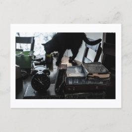 Black Cat Postcard Print by JH Thornton Postkarte