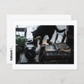 Black Cat Postcard Print by JH Thornton Postkarte (Vorne/Hinten)