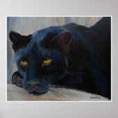 Black Cat Poster (Vorne)