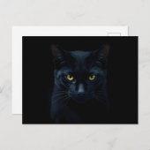 Black Cat Postkarte (Vorne/Hinten)