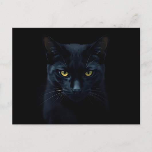 Black Cat Postkarte (Vorderseite)