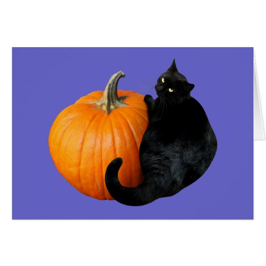 Black Cat Pumpkin (Vorderseite (Horizontal))
