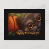 BLACK CAT & PUMPKIN HALLOWEWEE Postkarte (Vorderseite)