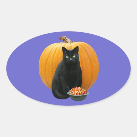 Black Cat Pumpkin Ovaler Aufkleber (Vorderseite)