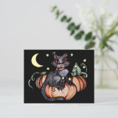 Black Cat Pumpkin Patch Moon Postkarte (Stehend Vorderseite)