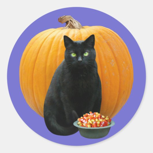 Black Cat Pumpkin Runder Aufkleber (Vorderseite)