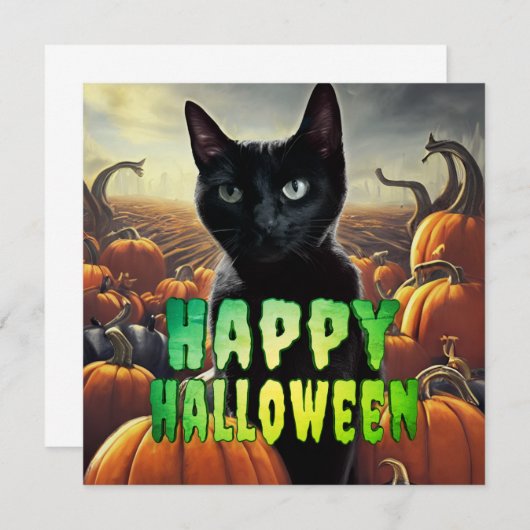 Black Cat & Pumpkins (Vorne/Hinten)