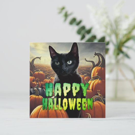 Black Cat & Pumpkins (Stehend Vorderseite)