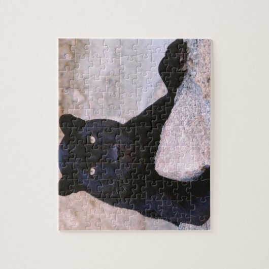 Black Cat Puzzle (Vertikal)