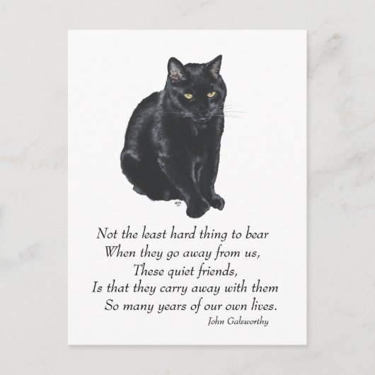 Black Cat Rainbow Bridge Postkarte (Vorderseite)