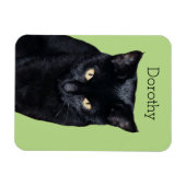 Black Cat Real Foto Küche Kühlschrankmagnet Magnet (Horizontal)