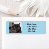 Black Cat Rücksendeadressen-Aufkleber (Insitu)