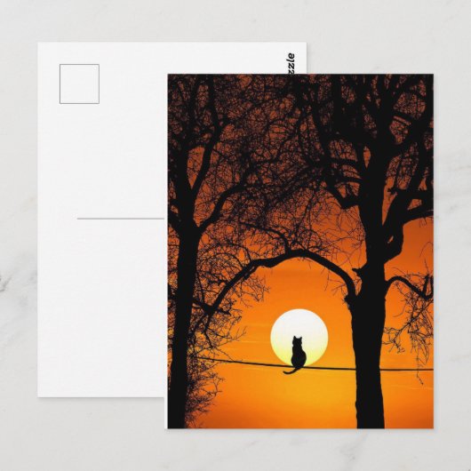 Black Cat Silhouette Sunset Postkarte (Vorne/Hinten)