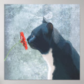 Black Cat Sniffing Blume Poster (Vorne)