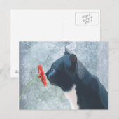 Black Cat Sniffing Blume Postkarte (Vorne/Hinten)