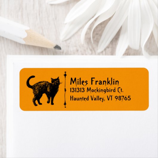 Black Cat Spooky Halloween (Insitu)