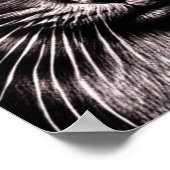 Black Cat Square Poster (Ecke)