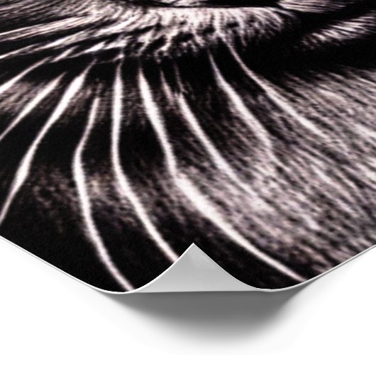 Black Cat Square Poster (Ecke)