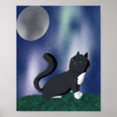 Black Cat Starry Night Painting Poster (Vorne)