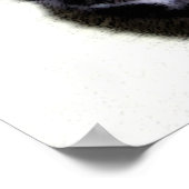 Black Cat Sumio Poster (Ecke)