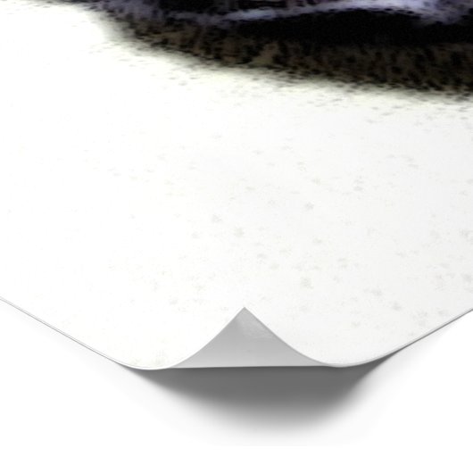 Black Cat Sumio Poster (Ecke)