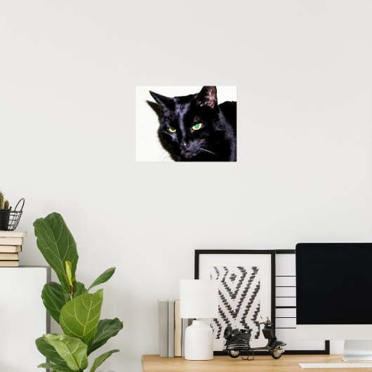 Black Cat Sumio Poster (Heimbüro)
