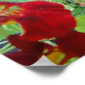 Black Cat Summer Garden Fotografie Poster (Ecke)