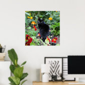Black Cat Summer Garden Fotografie Poster (Heimbüro)