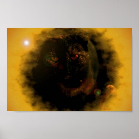 Black Cat Sunburst Poster (Vorne)