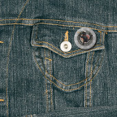 Black Cat Sunset: Eine Reise zu THRIVE Button