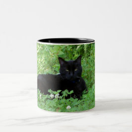 Black Cat Tasse