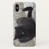 Black Cat-Telefongehäuse Case-Mate iPhone Hülle (Rückseite)